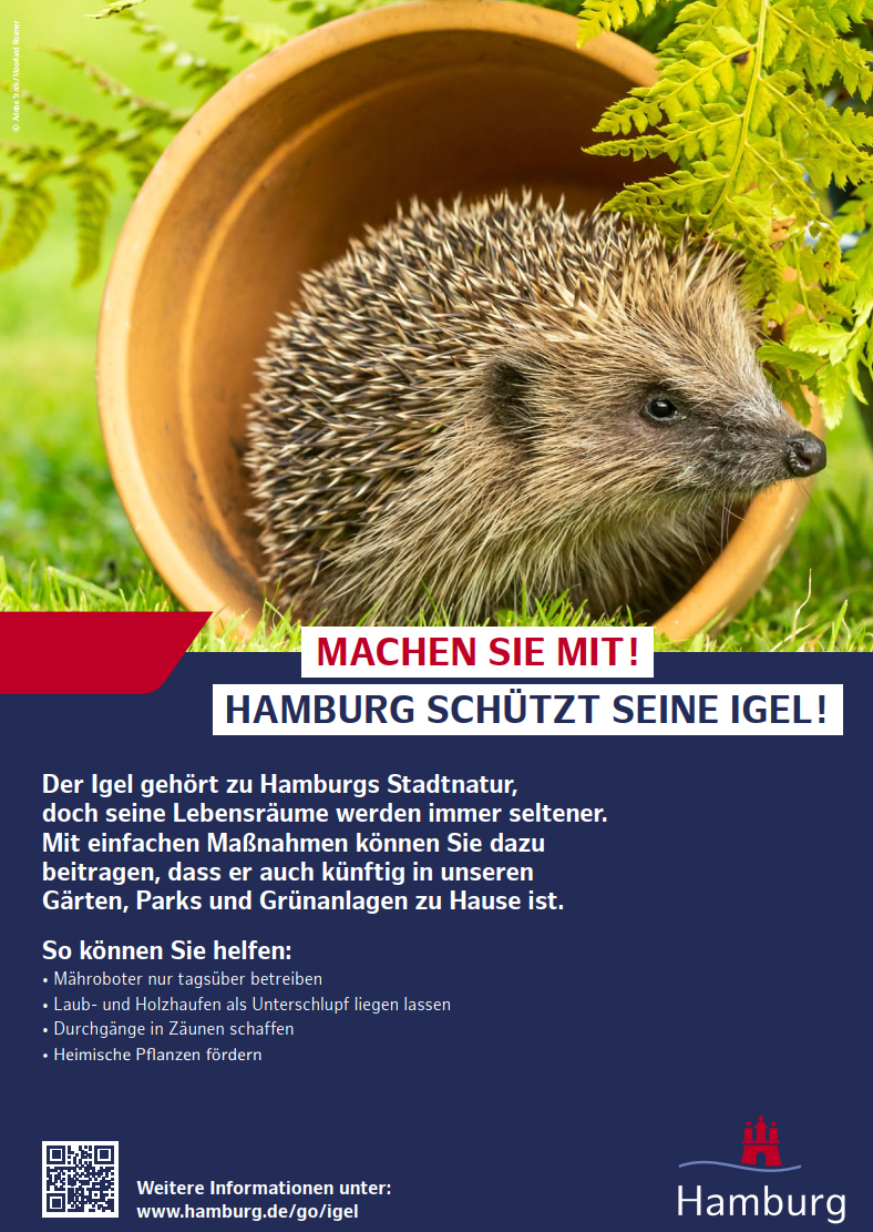 Informationen der Hamburger Behörden zum Schutz des Igels.